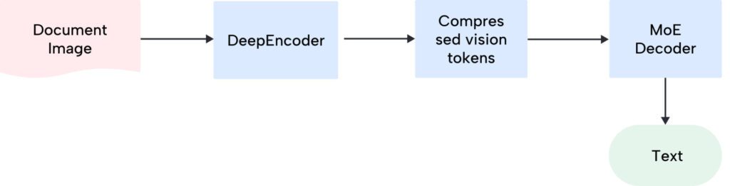 DeepSeek3B-MoE-A570M Sparse Expert Decoder Pipeline - DeepSeek-OCR